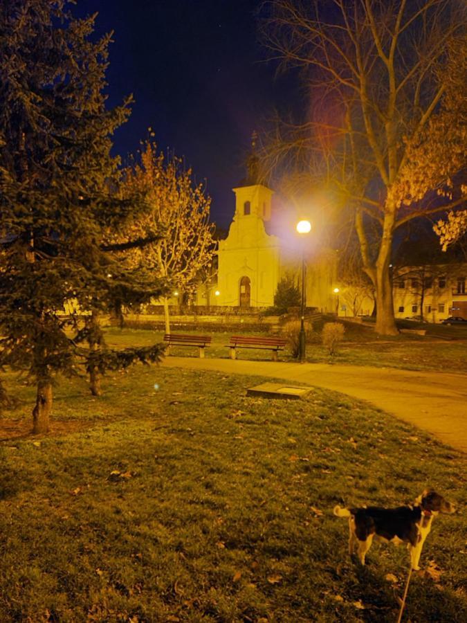 Auberge de jeunesse Romzsa Tódor Kollégium à Szeged Extérieur photo